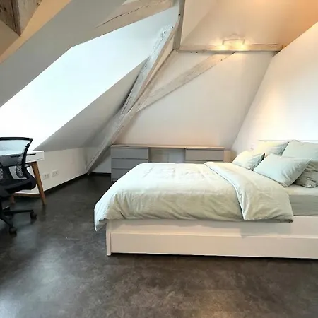 Einzigartige Dachgeschoss-loft Mit Dachterrasse Διαμέρισμα Aψβούργη